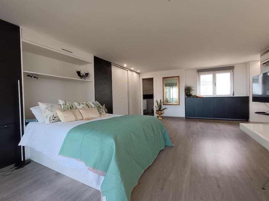 Spacious Studio By The University San Vicente Raspeig Exteriör bild